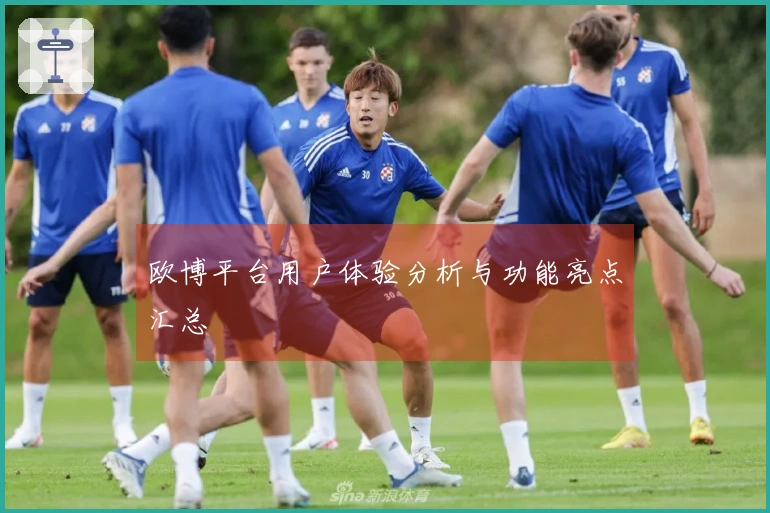 欧博平台用户体验分析与功能亮点汇总