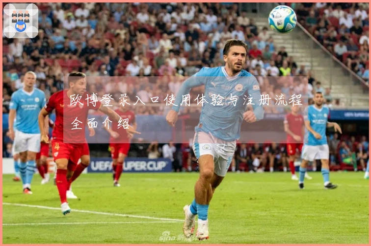 欧博登录入口使用体验与注册流程全面介绍