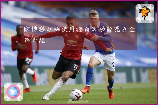 欧博移动端使用指南及功能亮点全面介绍